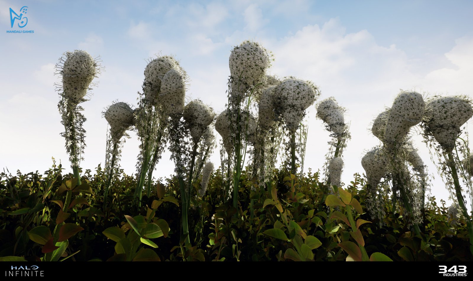 Image 10